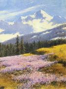 Crocuses with snowy mountains in the background